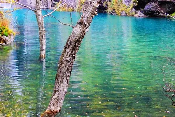 美呆了！祖國的秋色盡收眼底