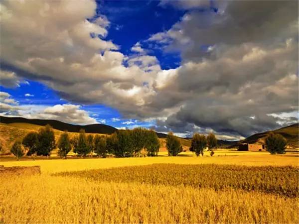 美呆了！祖國的秋色盡收眼底