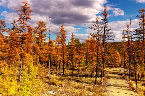 美呆了！祖國的秋色盡收眼底