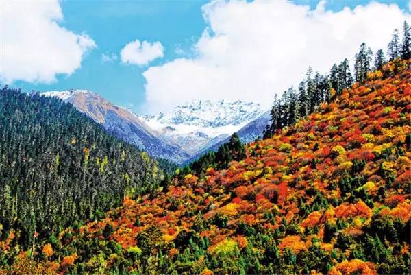 美呆了！祖國的秋色盡收眼底