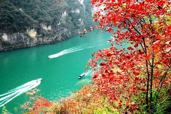 美呆了！祖國的秋色盡收眼底