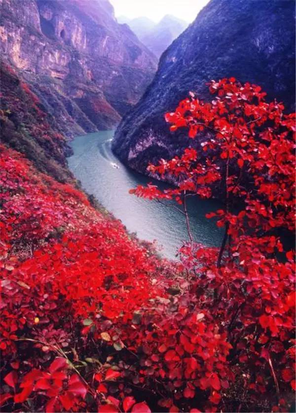 美呆了！祖國的秋色盡收眼底