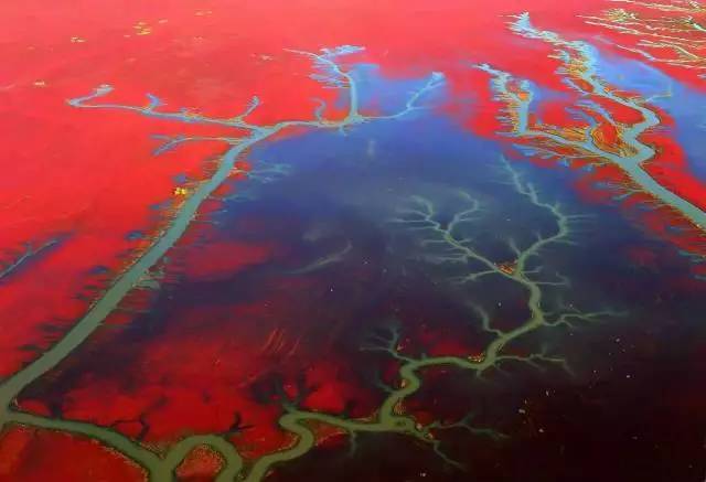 美呆了！祖國的秋色盡收眼底