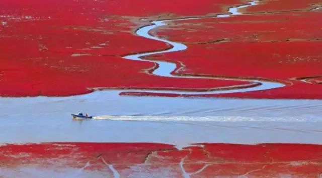 美呆了！祖國的秋色盡收眼底