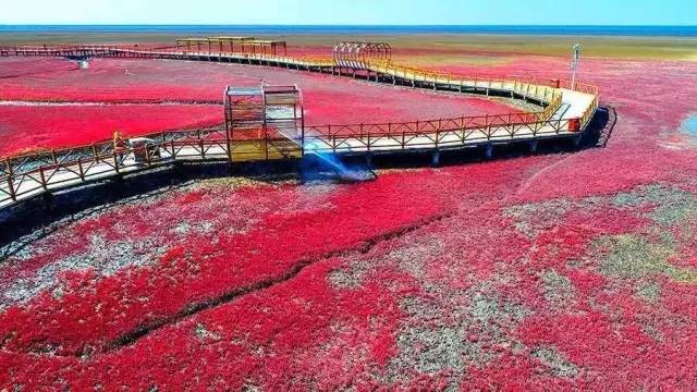 美呆了！祖國的秋色盡收眼底