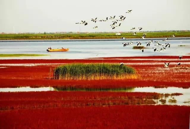 美呆了！祖國的秋色盡收眼底