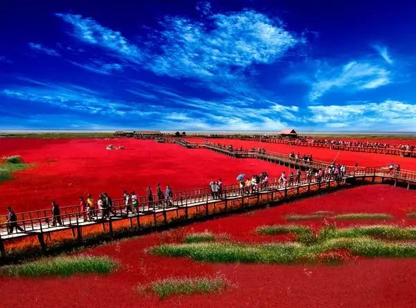 美呆了！祖國的秋色盡收眼底