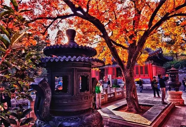 美呆了！祖國的秋色盡收眼底