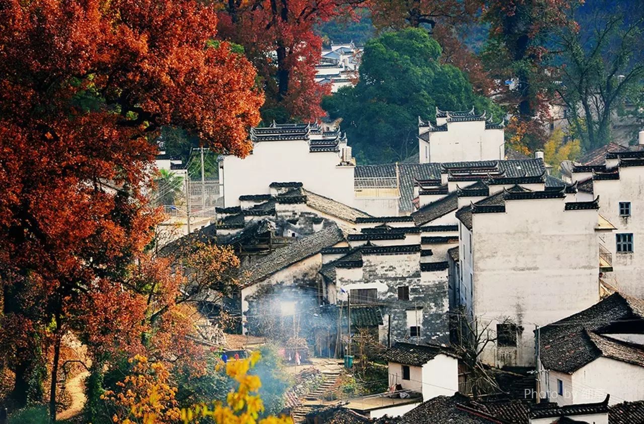 美呆了！祖國的秋色盡收眼底