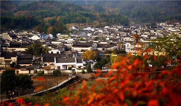 美呆了！祖國(guó)的秋色盡收眼底