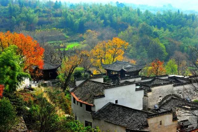 美呆了！祖國(guó)的秋色盡收眼底