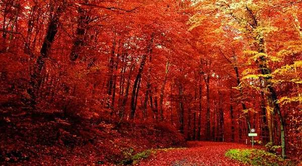 十處優(yōu)美的山水風(fēng)景，錦繡山河如詩如畫！