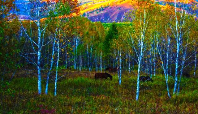 十處優(yōu)美的山水風(fēng)景，錦繡山河如詩如畫！