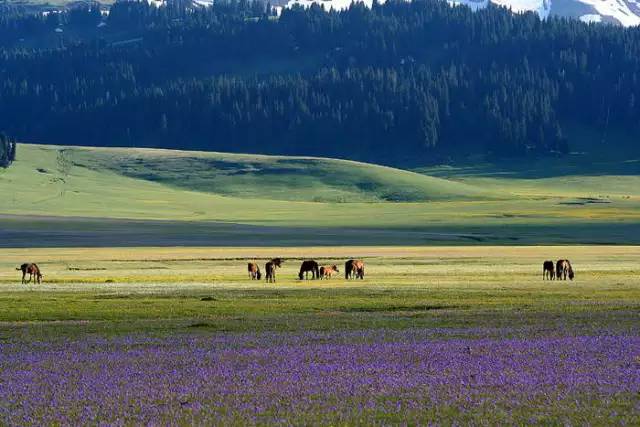 十處優(yōu)美的山水風(fēng)景，錦繡山河如詩如畫！