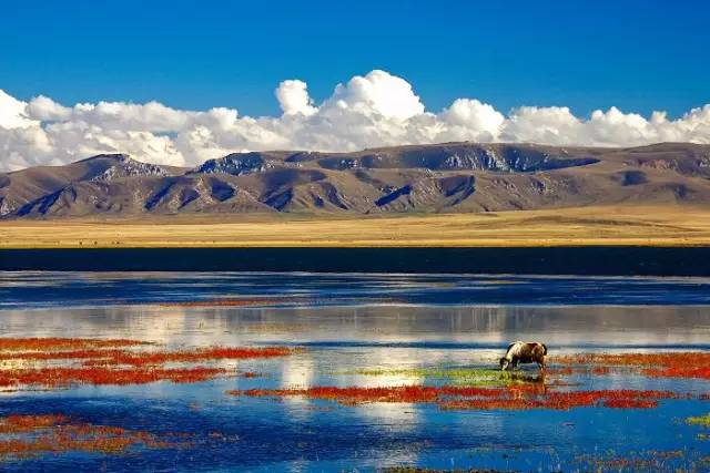 十處優(yōu)美的山水風(fēng)景，錦繡山河如詩如畫！