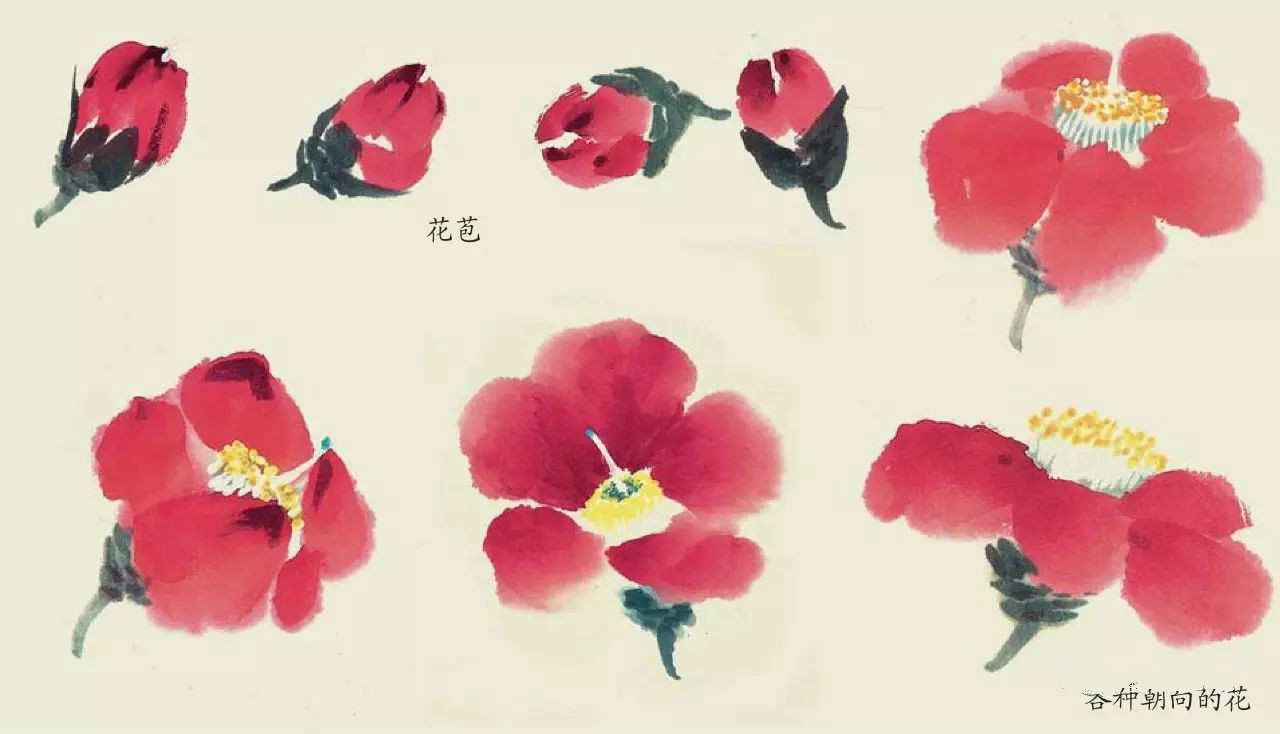 國(guó)畫技法：超詳細(xì)的國(guó)畫各種花卉畫法大全!