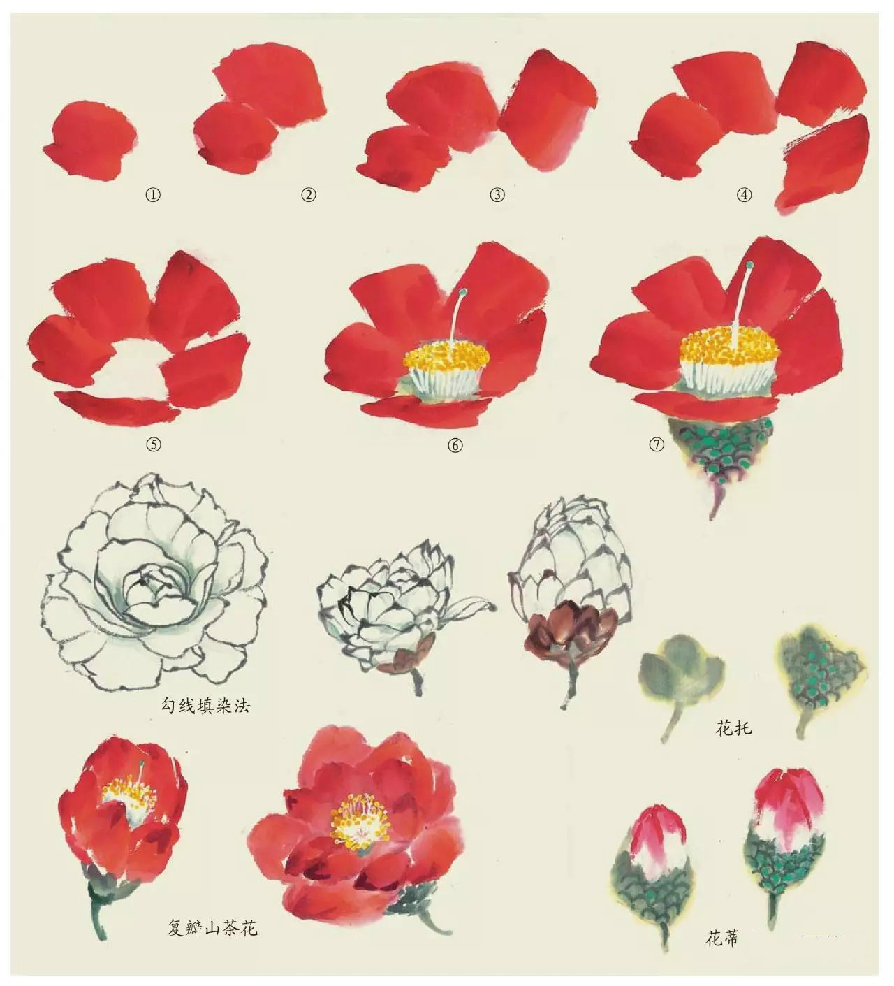 國(guó)畫技法：超詳細(xì)的國(guó)畫各種花卉畫法大全!