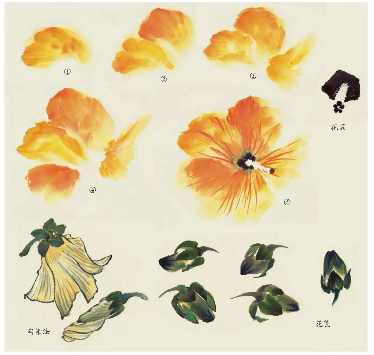 國畫技法：超詳細(xì)的國畫各種花卉畫法大全!