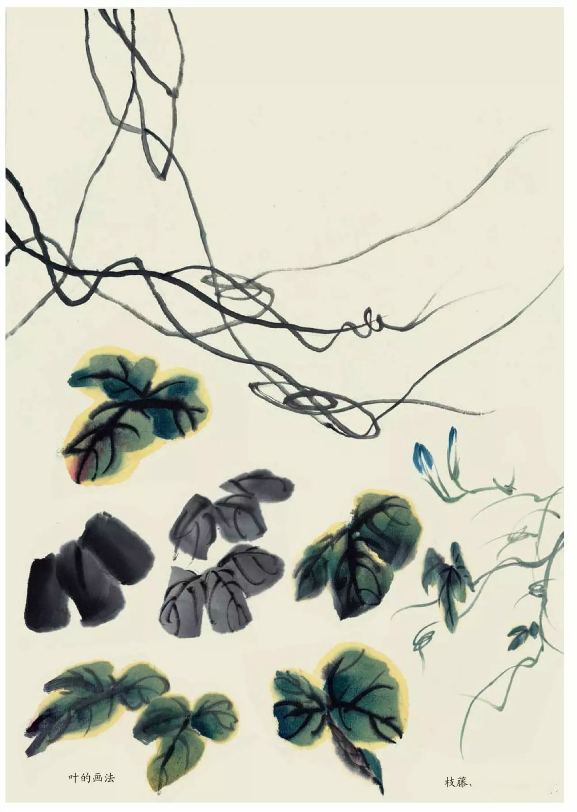 國(guó)畫技法：超詳細(xì)的國(guó)畫各種花卉畫法大全!