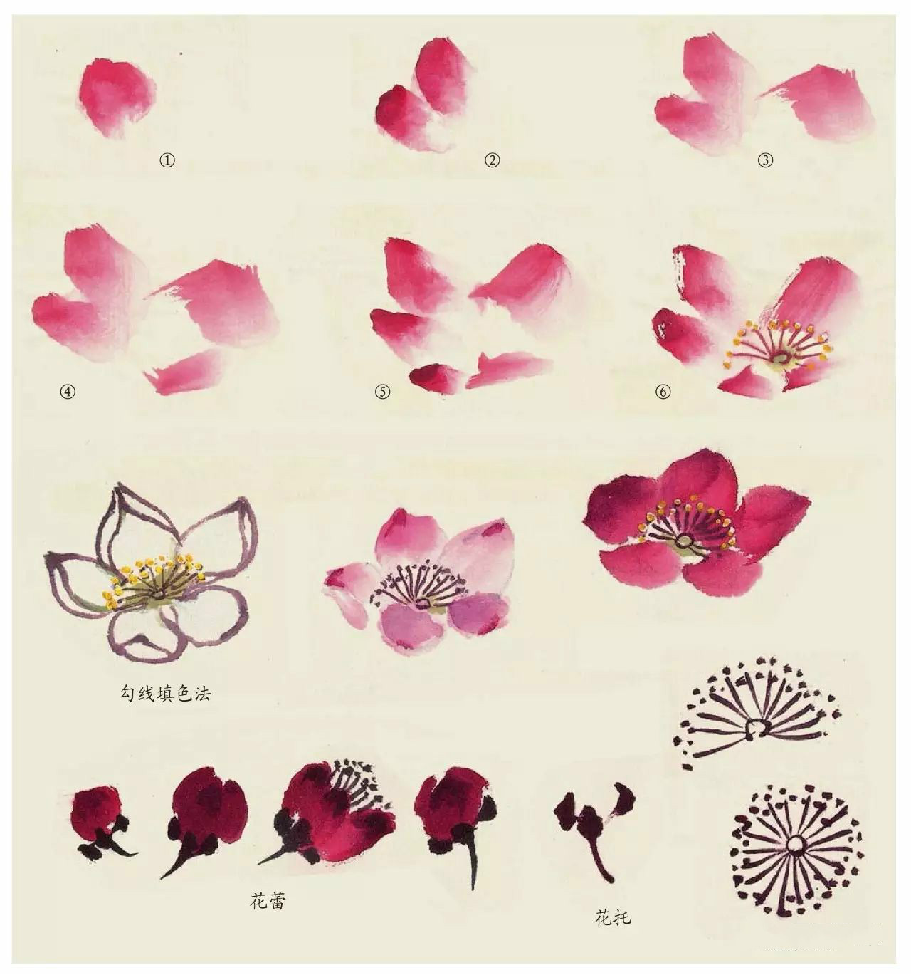 國畫技法：超詳細(xì)的國畫各種花卉畫法大全!