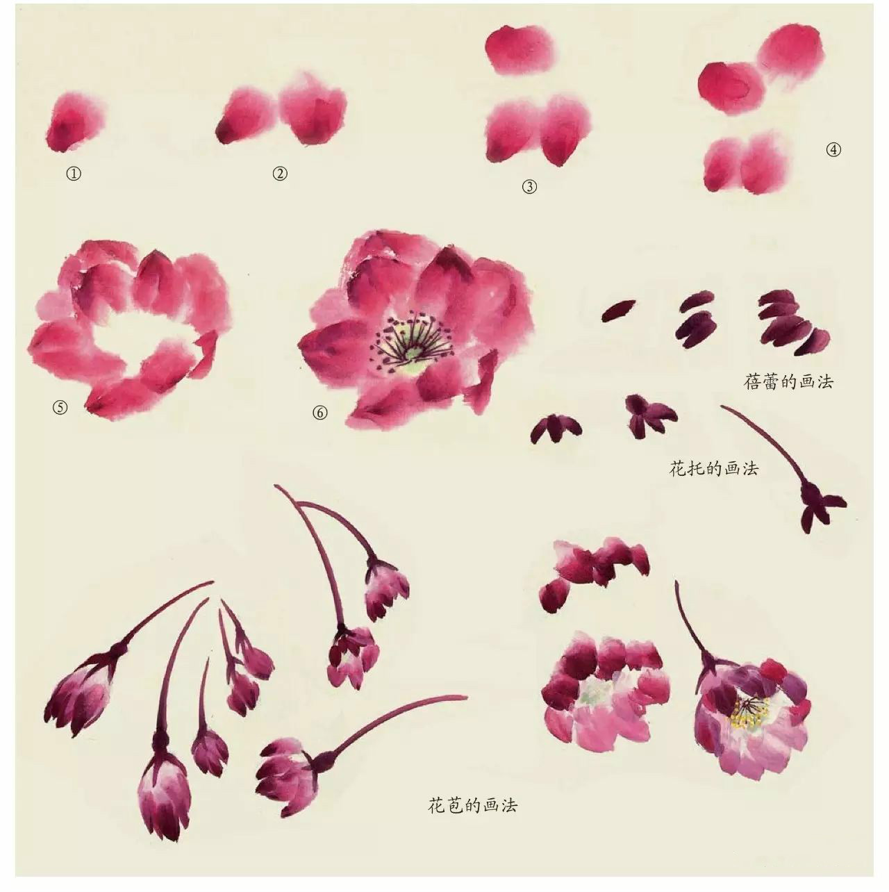 國(guó)畫(huà)技法：超詳細(xì)的國(guó)畫(huà)各種花卉畫(huà)法大全!