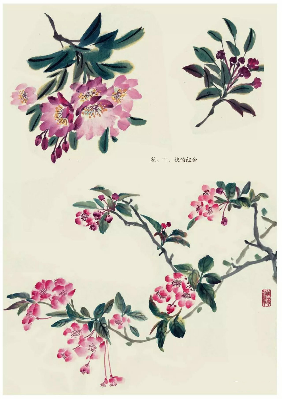 國(guó)畫(huà)技法：超詳細(xì)的國(guó)畫(huà)各種花卉畫(huà)法大全!