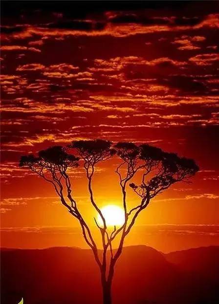 美到骨子里的夕陽風(fēng)景：青山依舊在，幾度夕陽