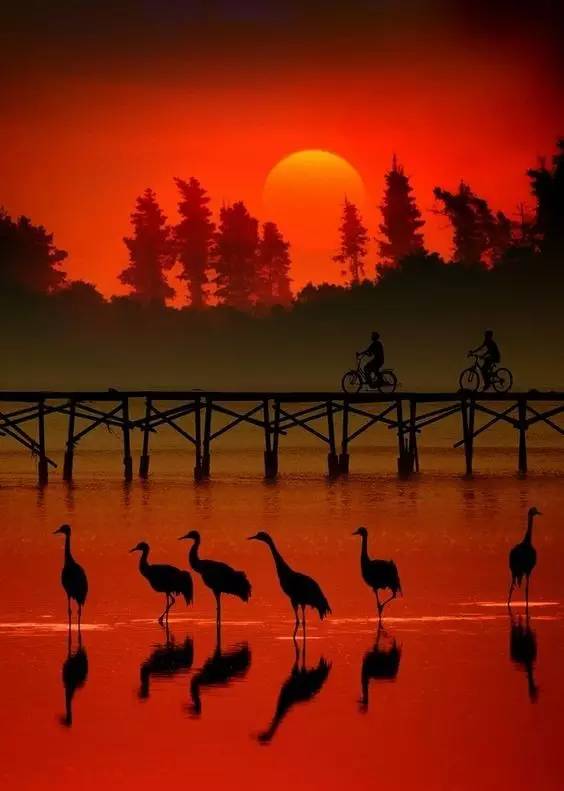 美到骨子里的夕陽(yáng)風(fēng)景：青山依舊在，幾度夕陽(yáng)