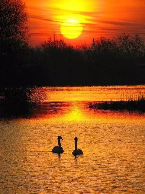美到骨子里的夕陽(yáng)風(fēng)景：青山依舊在，幾度夕陽(yáng)
