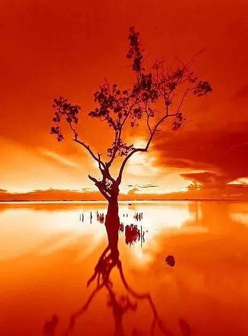 美到骨子里的夕陽(yáng)風(fēng)景：青山依舊在，幾度夕陽(yáng)