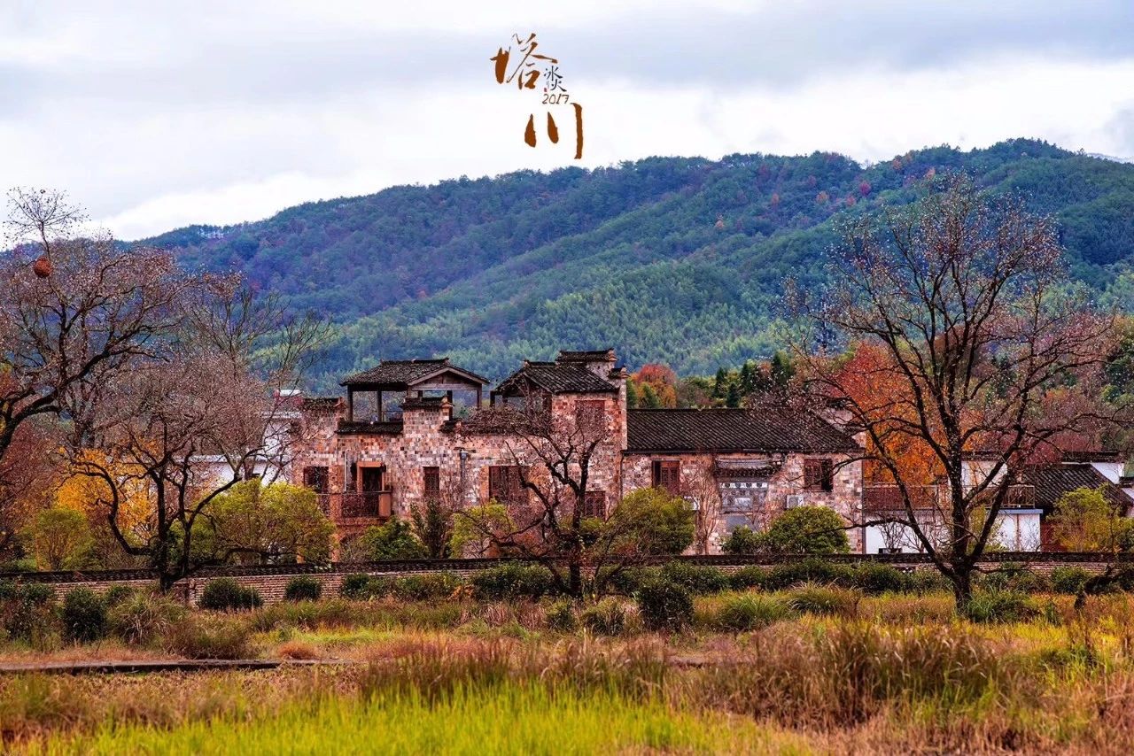 杭州·化城壹處，坐落在化城寺的佛元素里