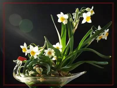 詩(shī)意風(fēng)景：一花一世界，一詩(shī)一情懷