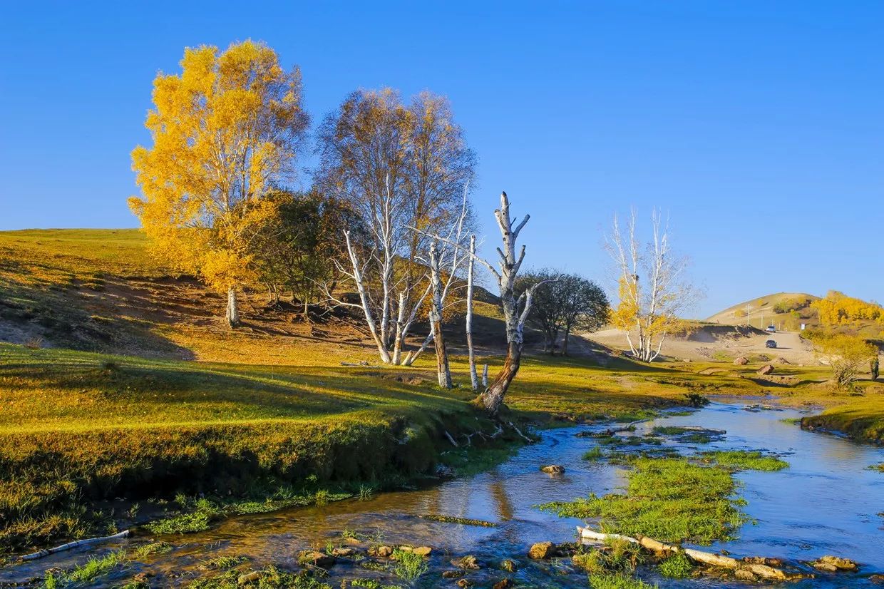 承德·衍居院上野奢度假，策馬奔騰活得瀟瀟灑灑