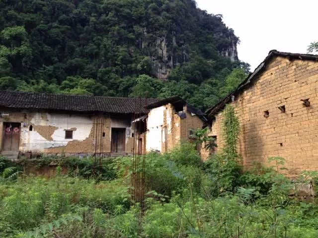 陽朔·芒果憶墅，用芒果記錄每一個(gè)美好瞬間