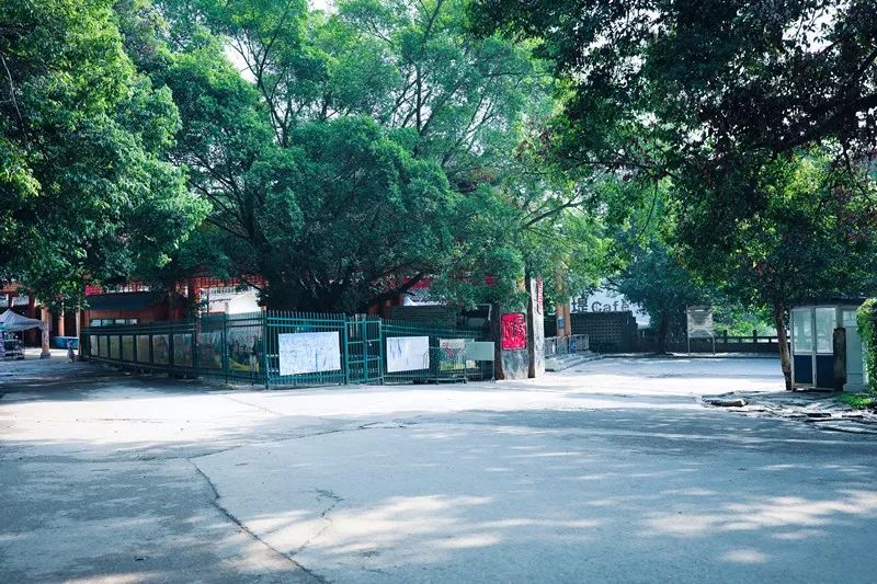 陽朔·芒果憶墅，用芒果記錄每一個美好瞬間