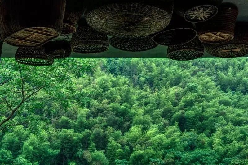 臺(tái)州臨?！げ菟蓿亲永锪魈实泥l(xiāng)愁烙印