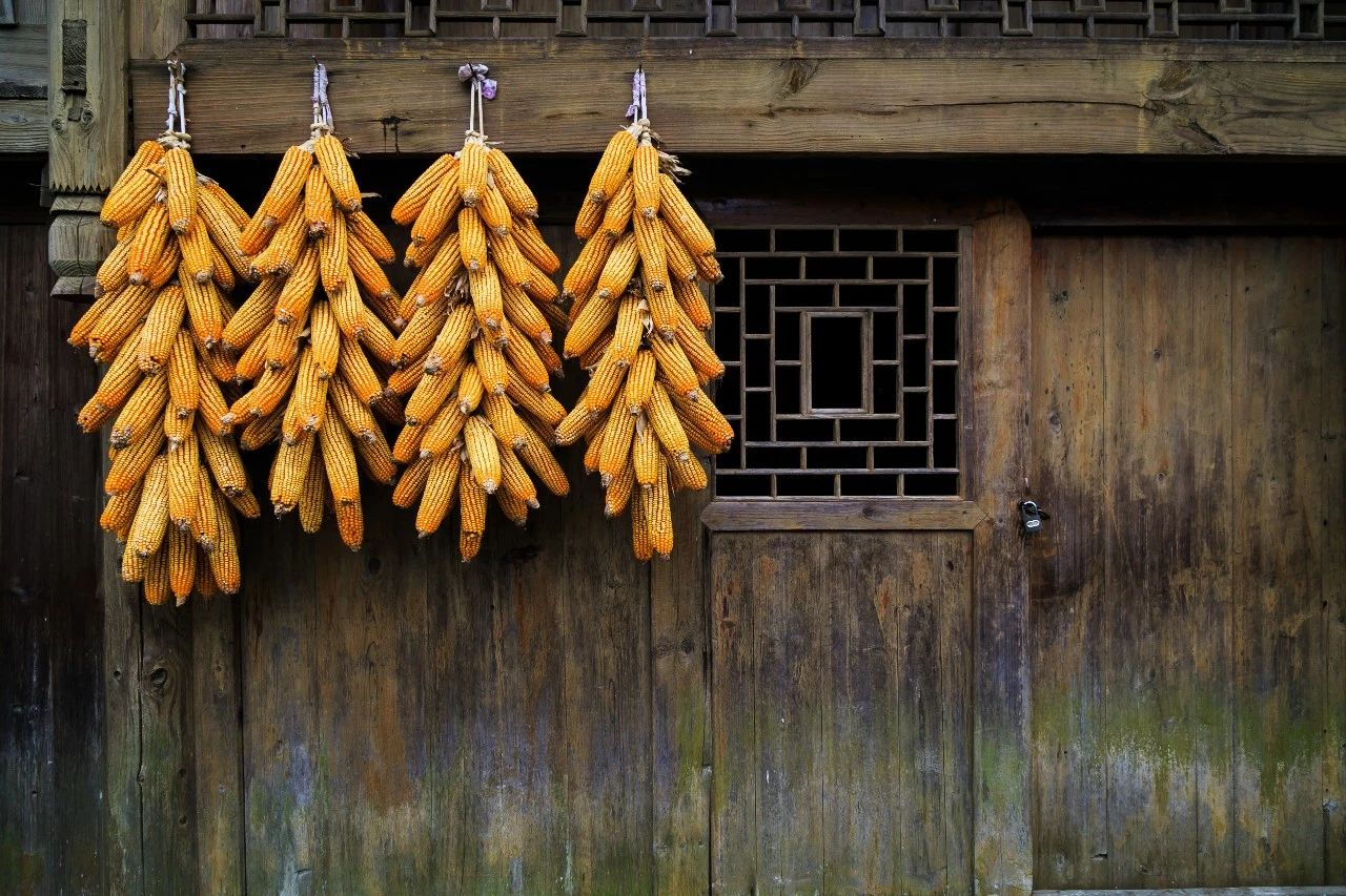 貴州·群山之心，因?yàn)閴?mèng)想所有辛勞皆喜悅