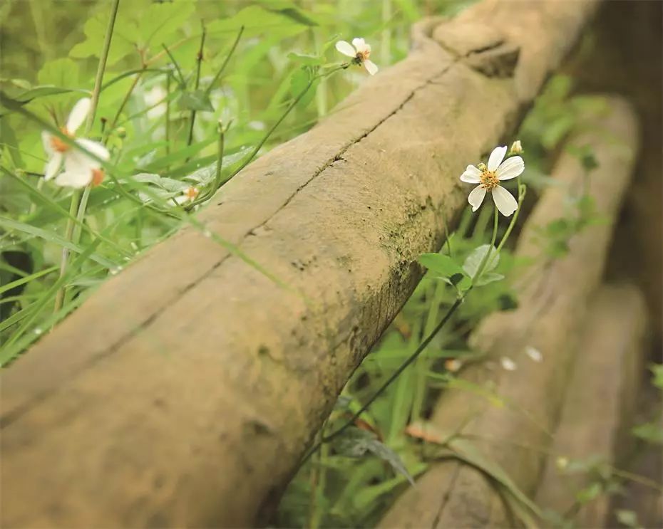 貴州·群山之心，因為夢想所有辛勞皆喜悅