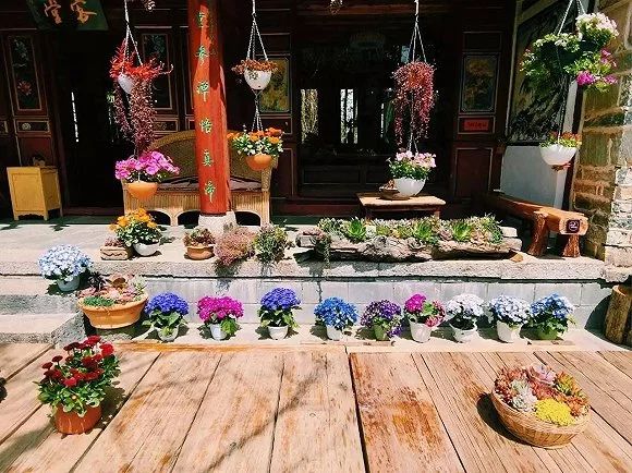 寂照庵--中國(guó)最文藝尼姑庵：心若無(wú)塵一花一世界