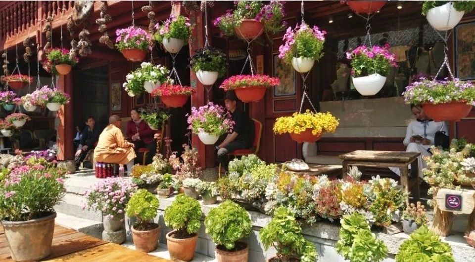 寂照庵--中國(guó)最文藝尼姑庵：心若無(wú)塵一花一世界