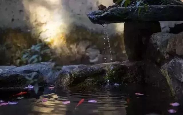 寂照庵--中國(guó)最文藝尼姑庵：心若無(wú)塵一花一世界