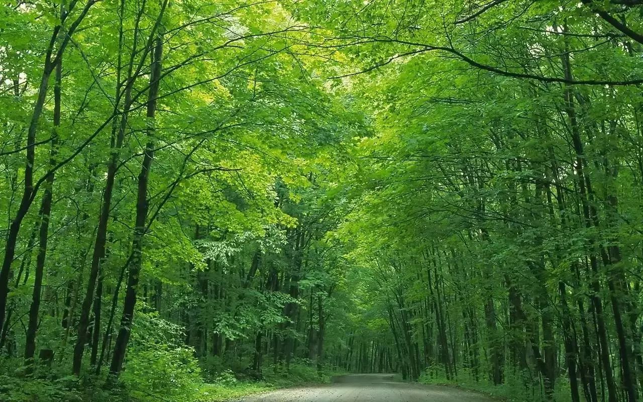 唯美古風(fēng)句子：最美人間四月天