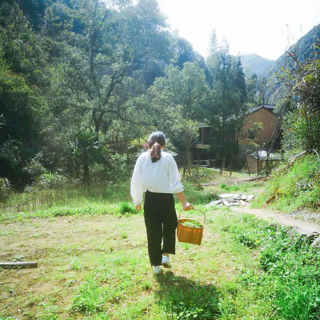 桐廬·水喜，太陽東升西落便是一天的標(biāo)記