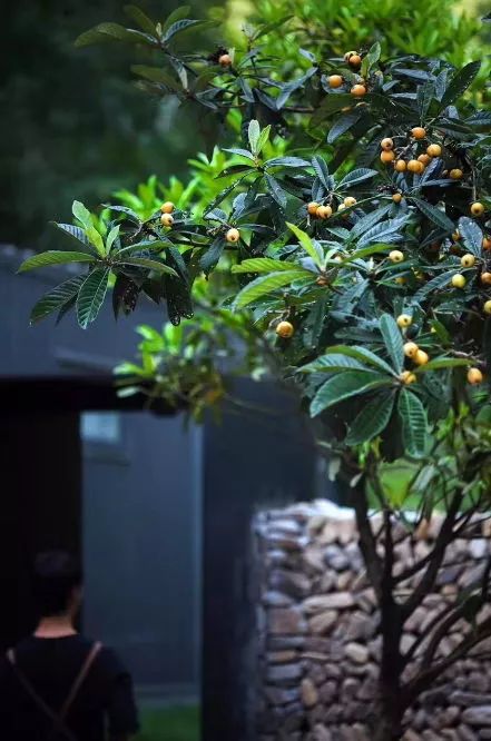 桐廬·水喜，太陽東升西落便是一天的標(biāo)記