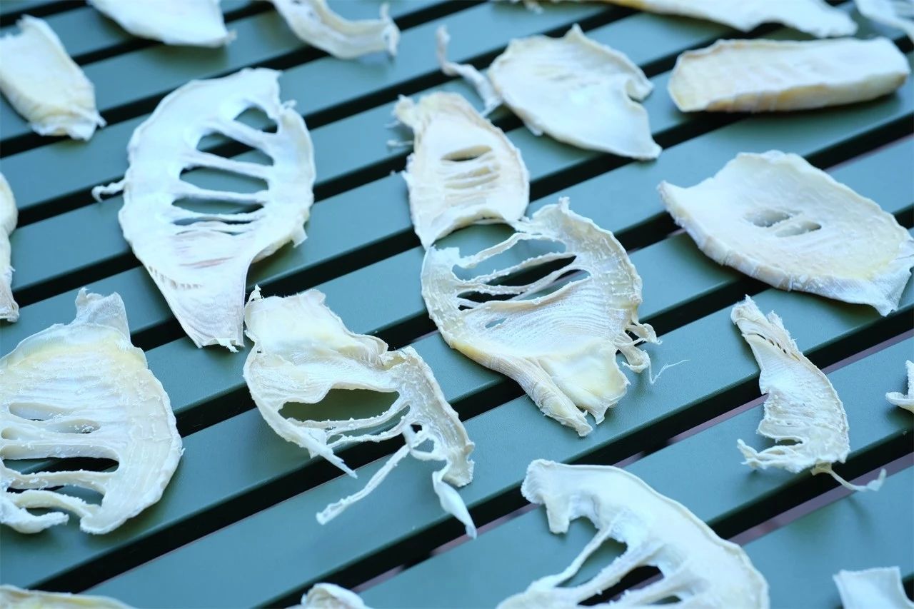 桐廬·水喜，太陽東升西落便是一天的標(biāo)記