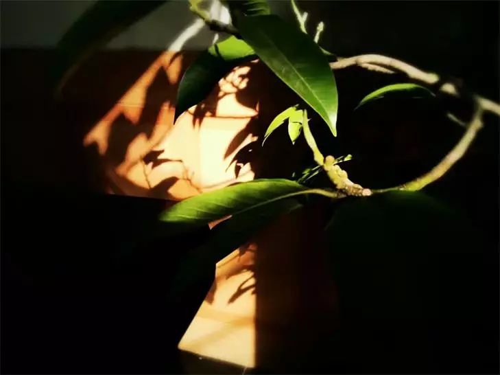 桐廬·水喜，太陽東升西落便是一天的標記