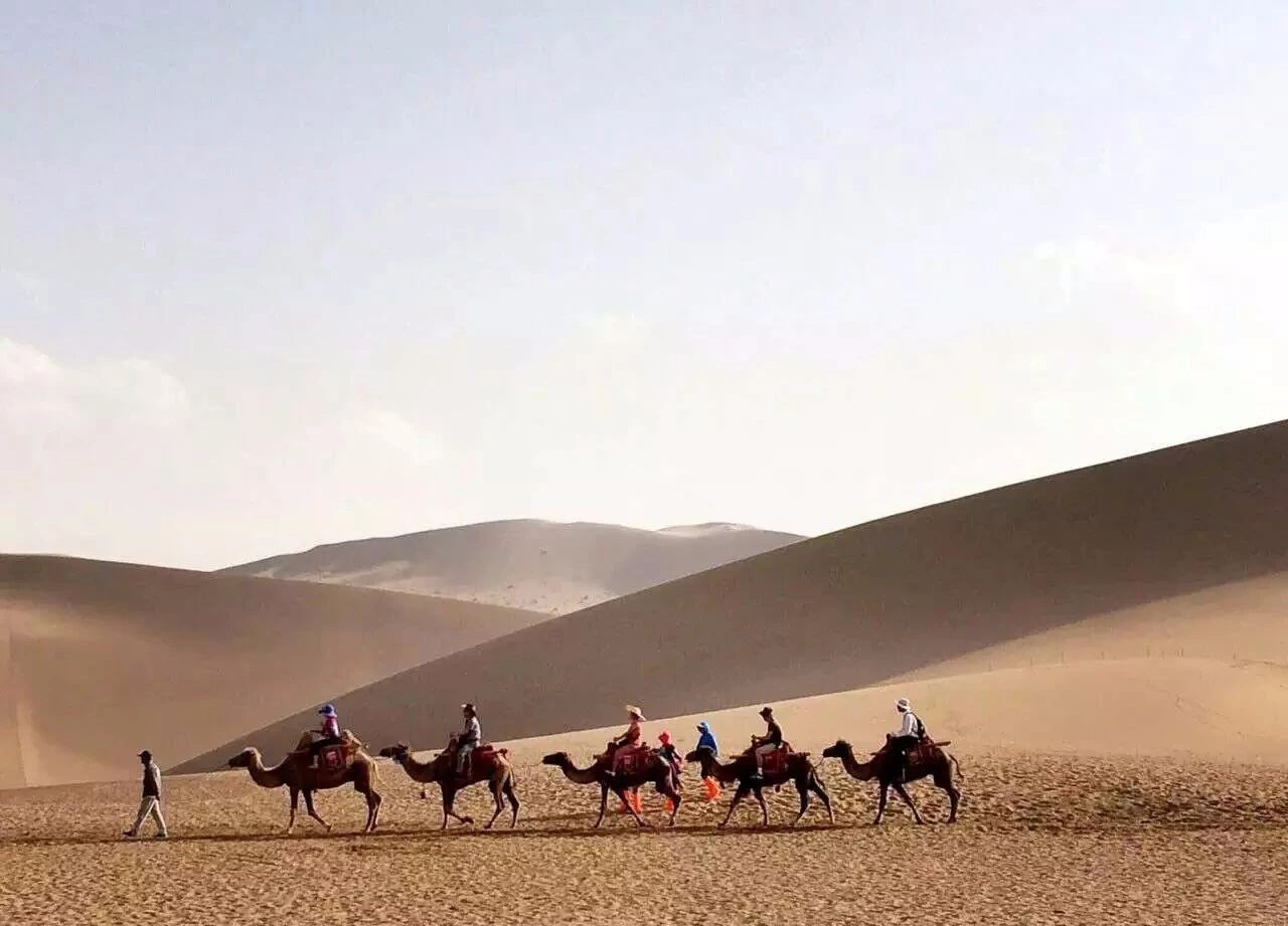 廈門·十二舍，解鎖十二的新含義