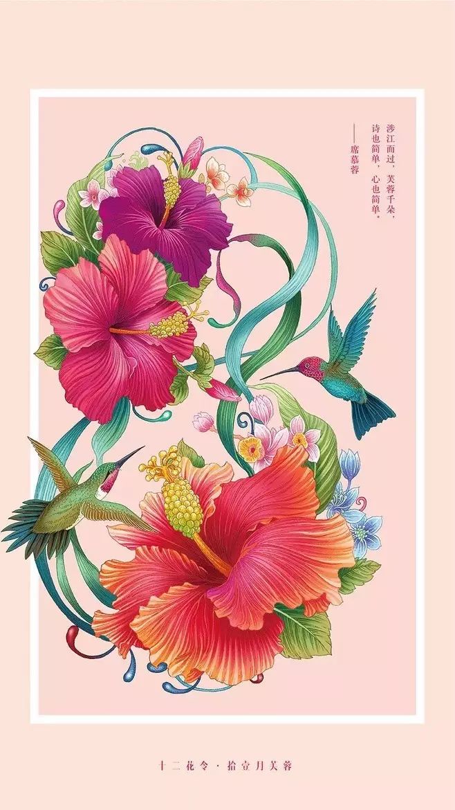 十二花令插畫圖片：以花為媒四季流轉