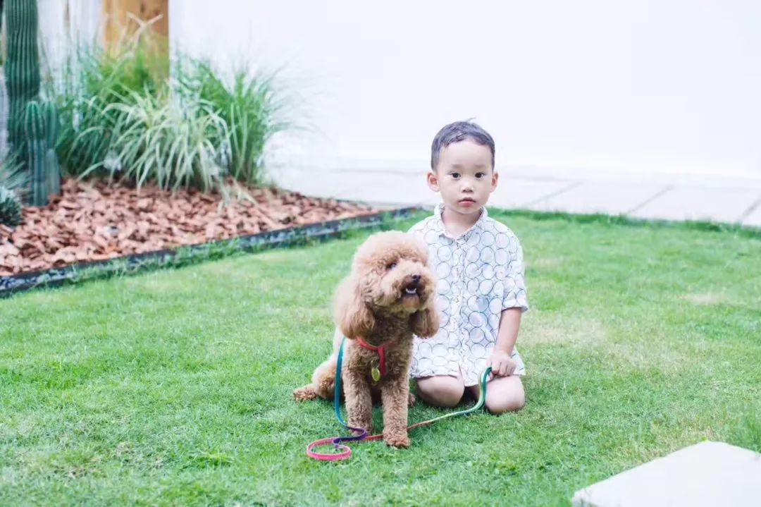 成都·親家Dear Home，生活平淡如水自在歡喜