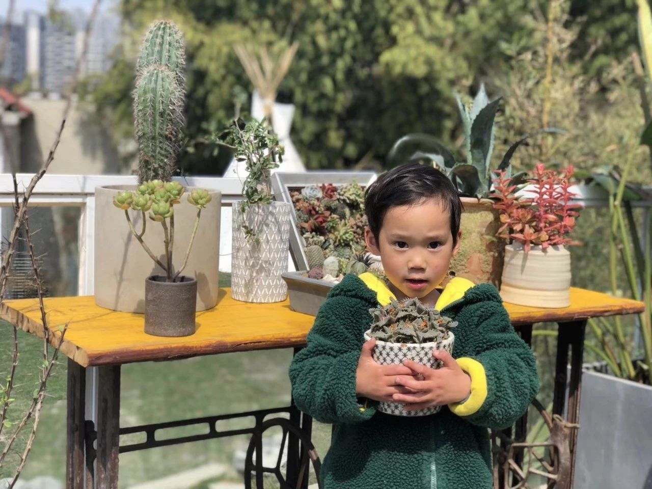 成都·親家Dear Home，生活平淡如水自在歡喜